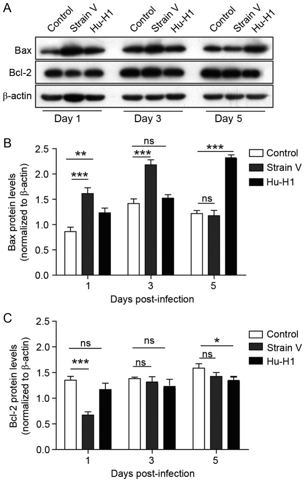 Figure 5.