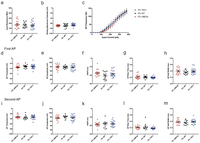 Figure 4—figure supplement 4.