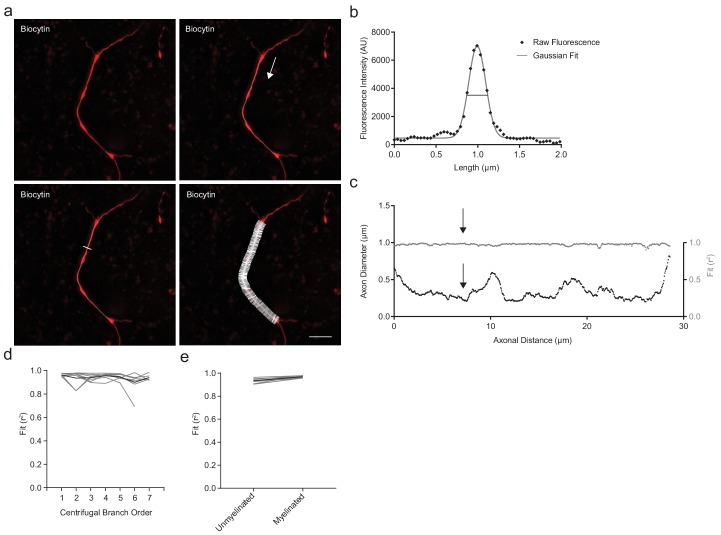 Figure 1—figure supplement 2.