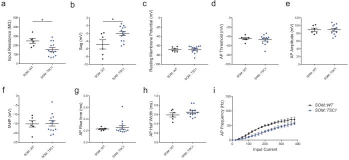 Figure 7—figure supplement 3.