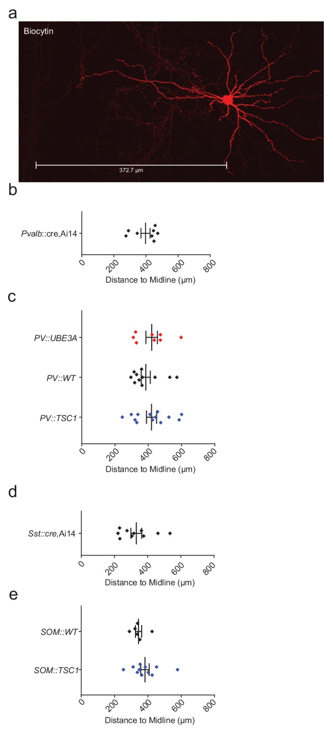 Figure 1—figure supplement 3.