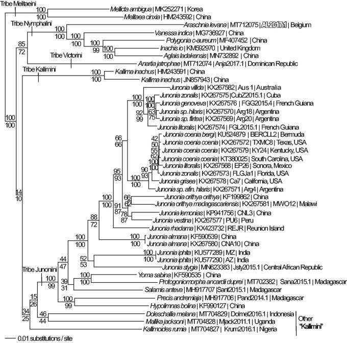 Figure 1.