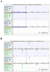 Figure 1—figure supplement 2.