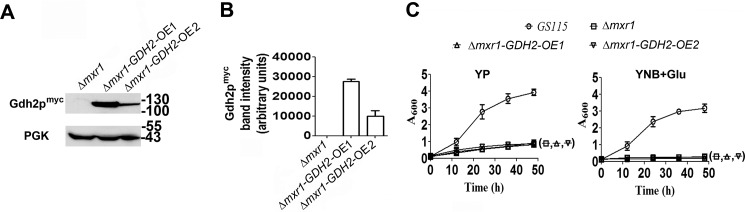 FIGURE 4.