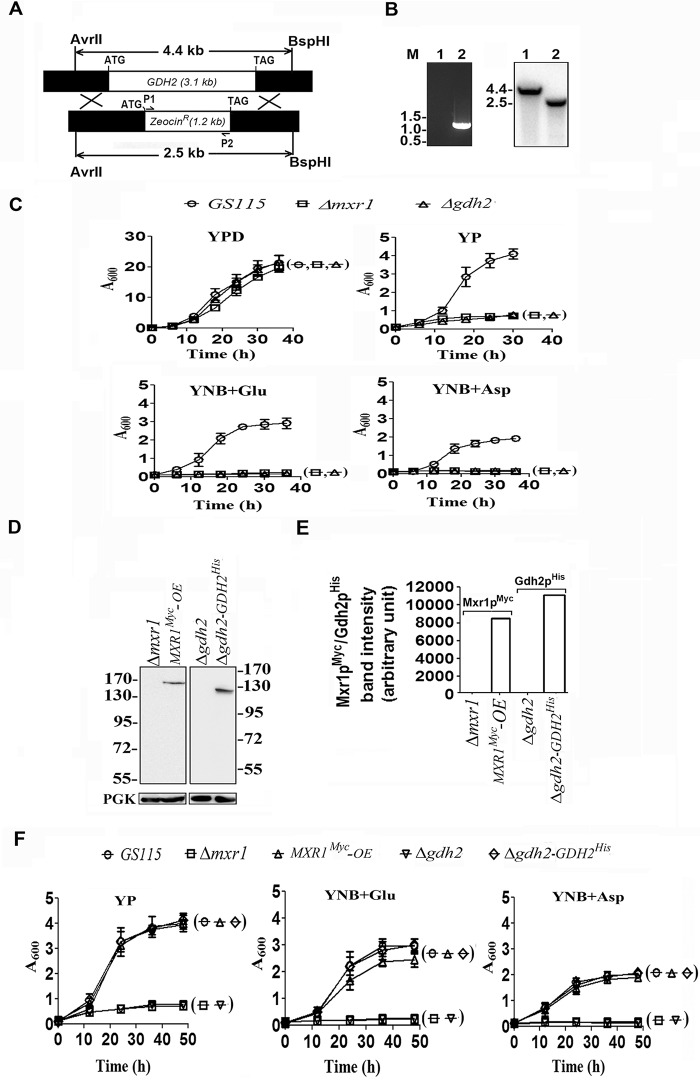 FIGURE 2.