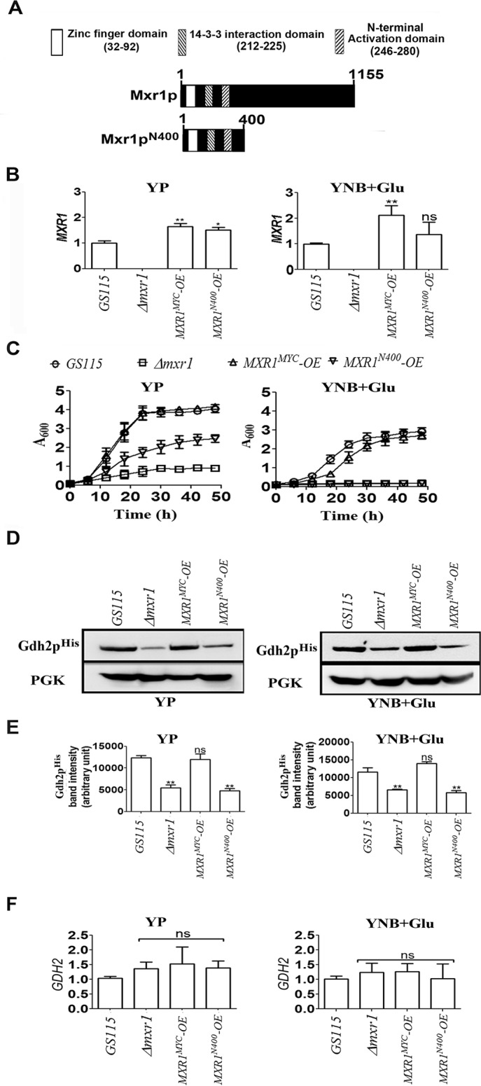 FIGURE 3.