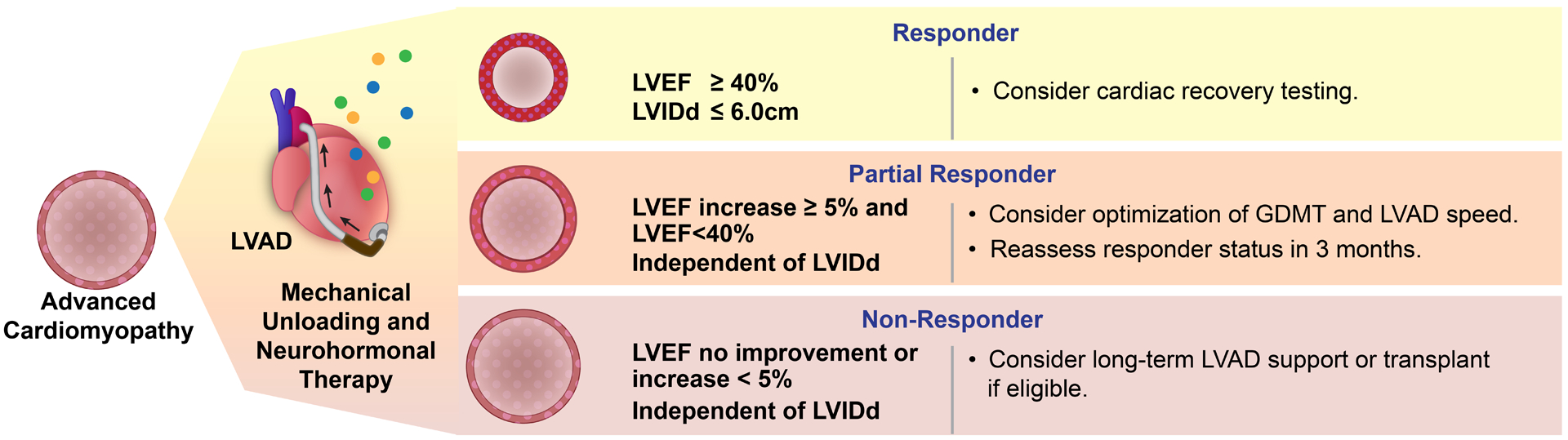 Figure 5: