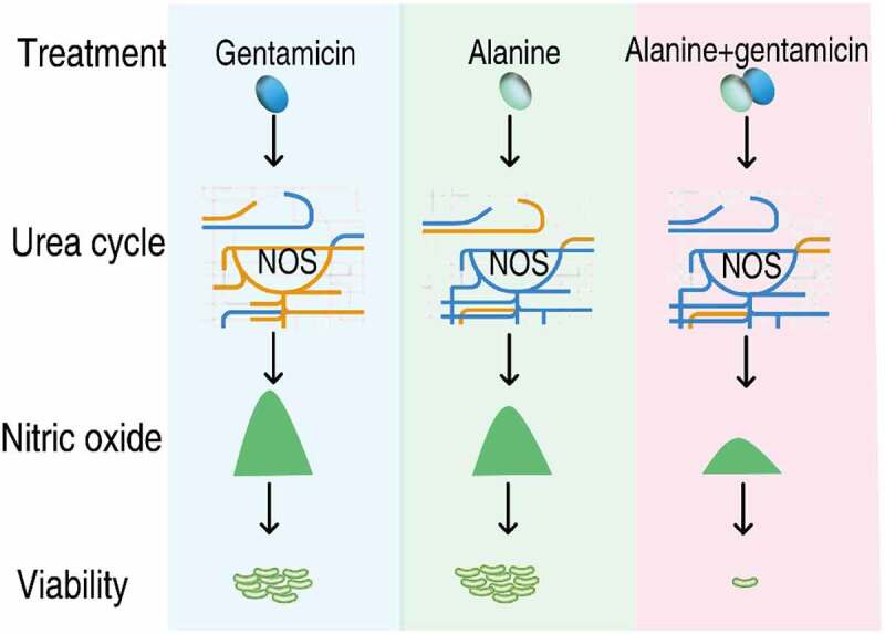 Figure 9.