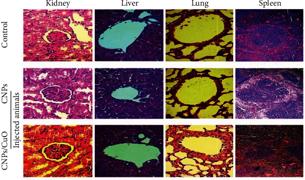 Figure 10