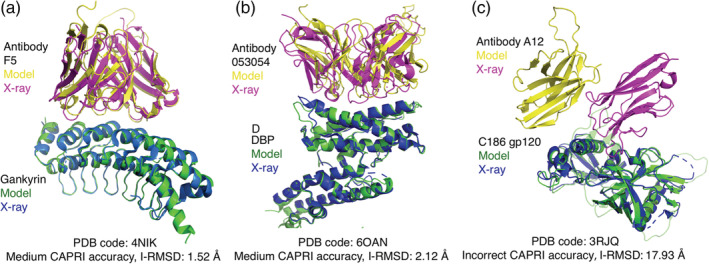 FIGURE 7