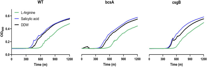 FIGURE 4