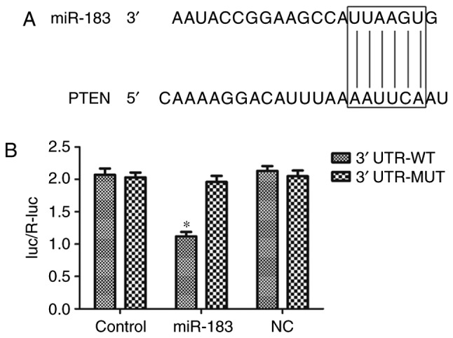 Figure 5.