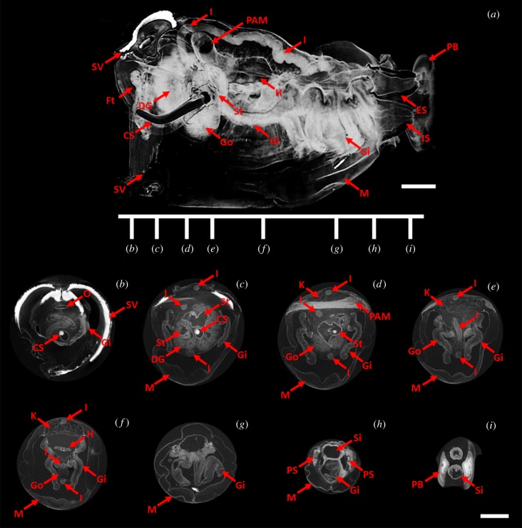 Figure 4.