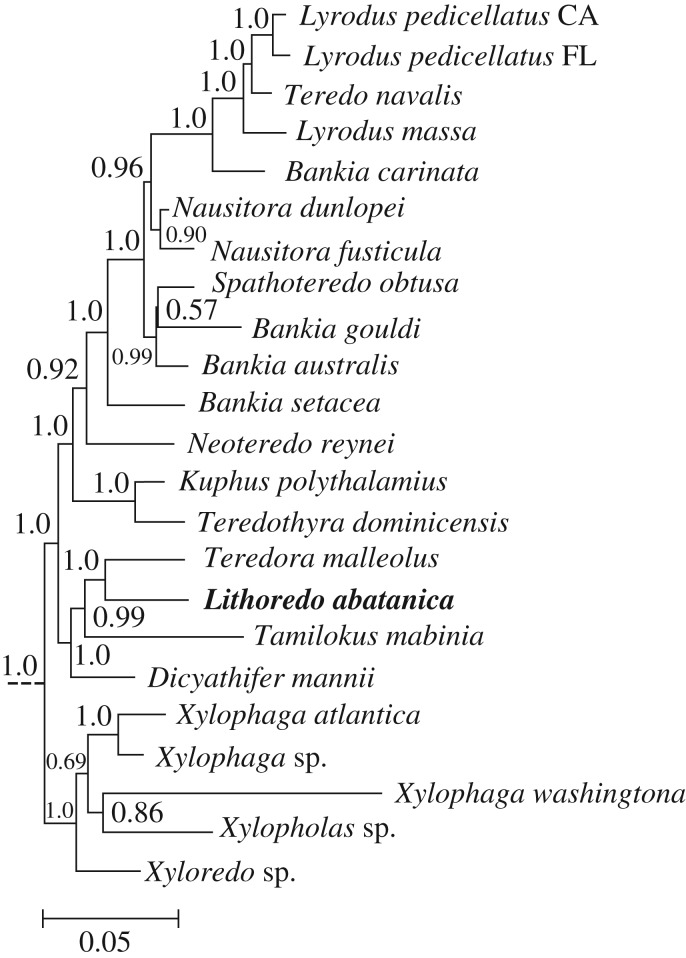 Figure 5.