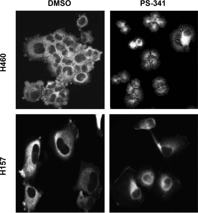 Figure 6B.