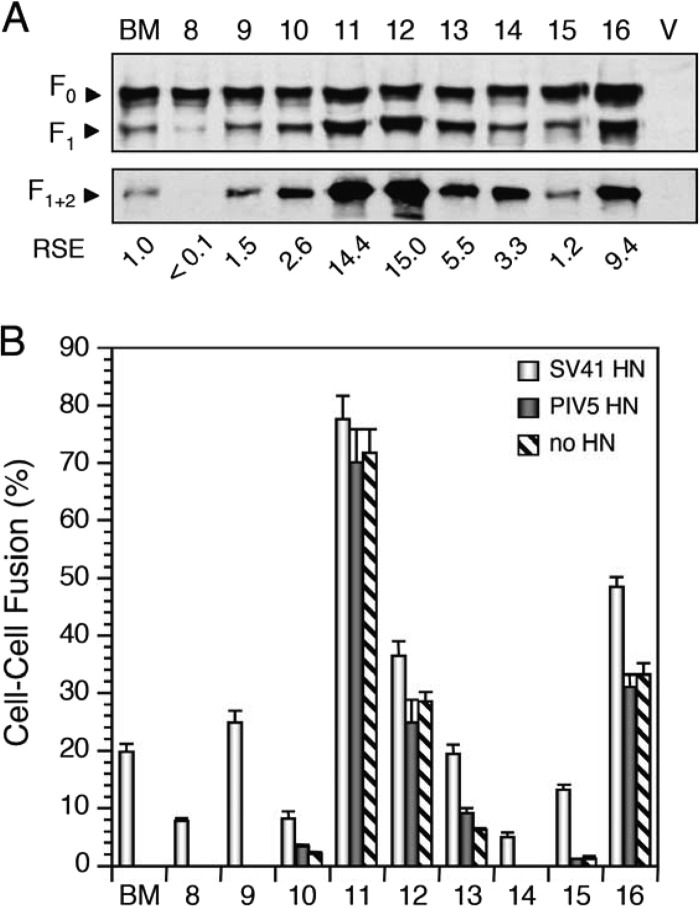 Fig 6