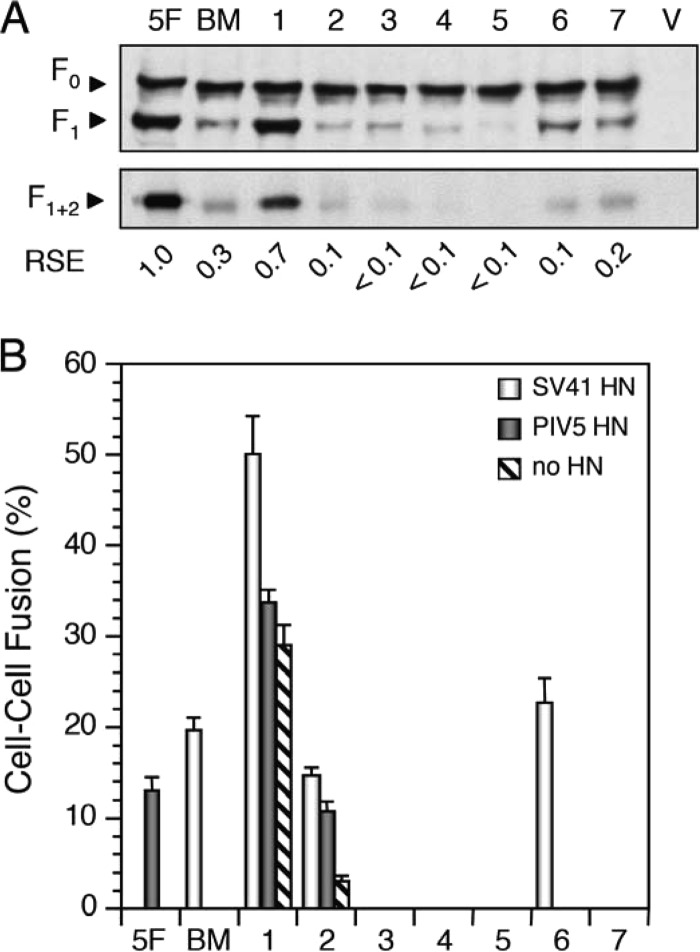 Fig 5