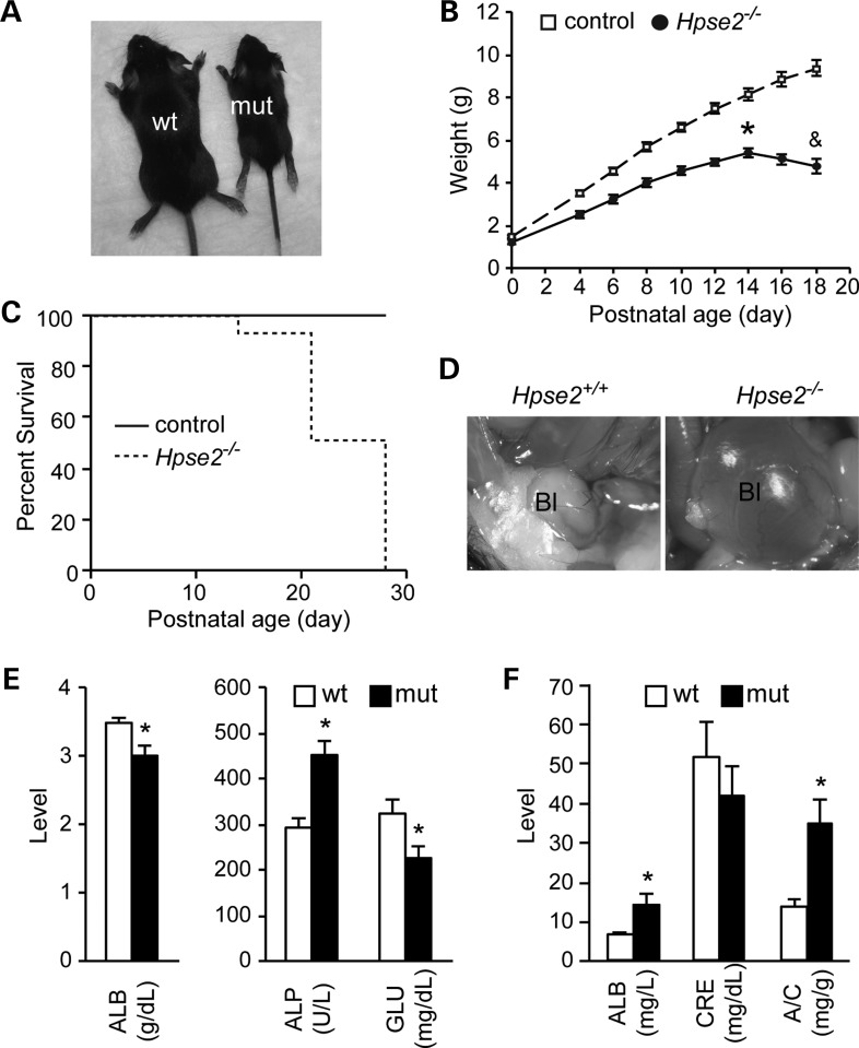 Figure 3.