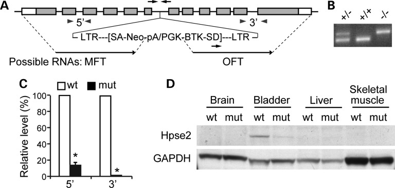 Figure 2.