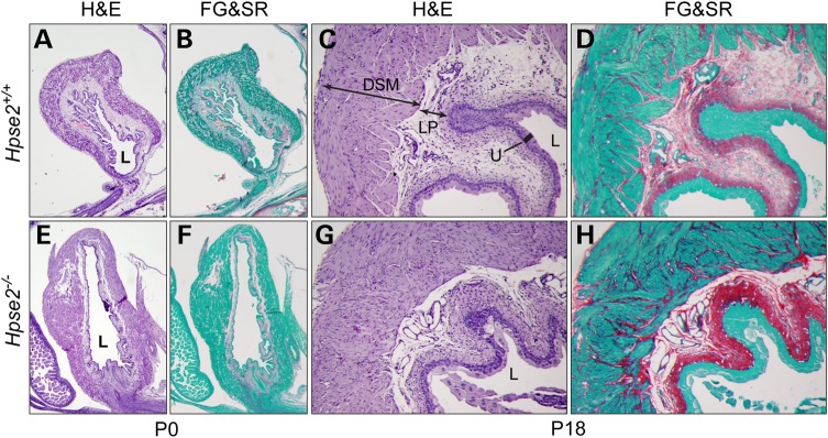 Figure 7.