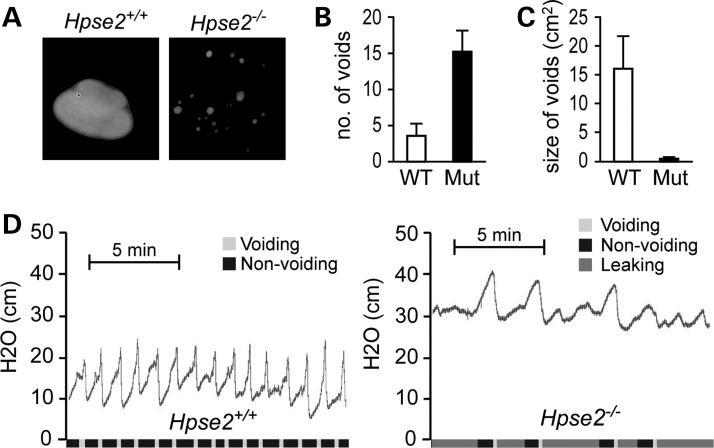 Figure 4.