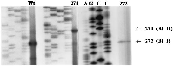 FIG. 5