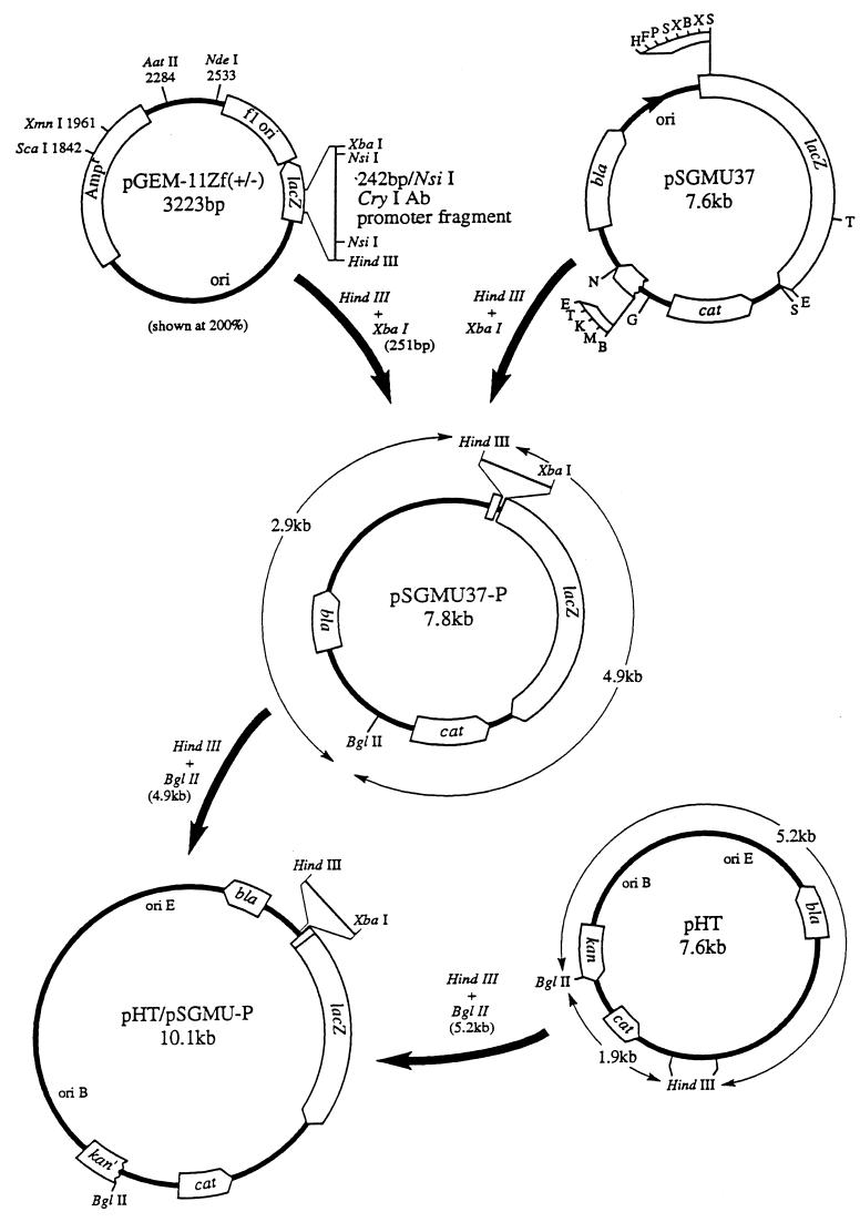 FIG. 1