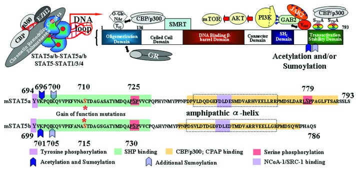 graphic file with name jkst-1-203-g1.jpg