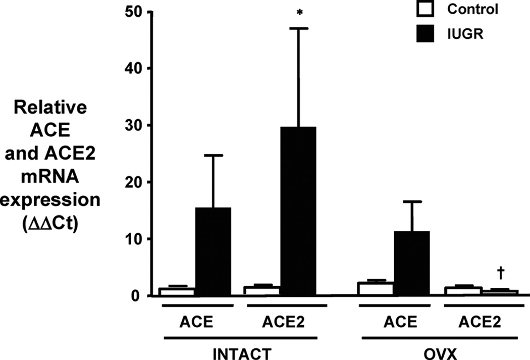 Figure 17