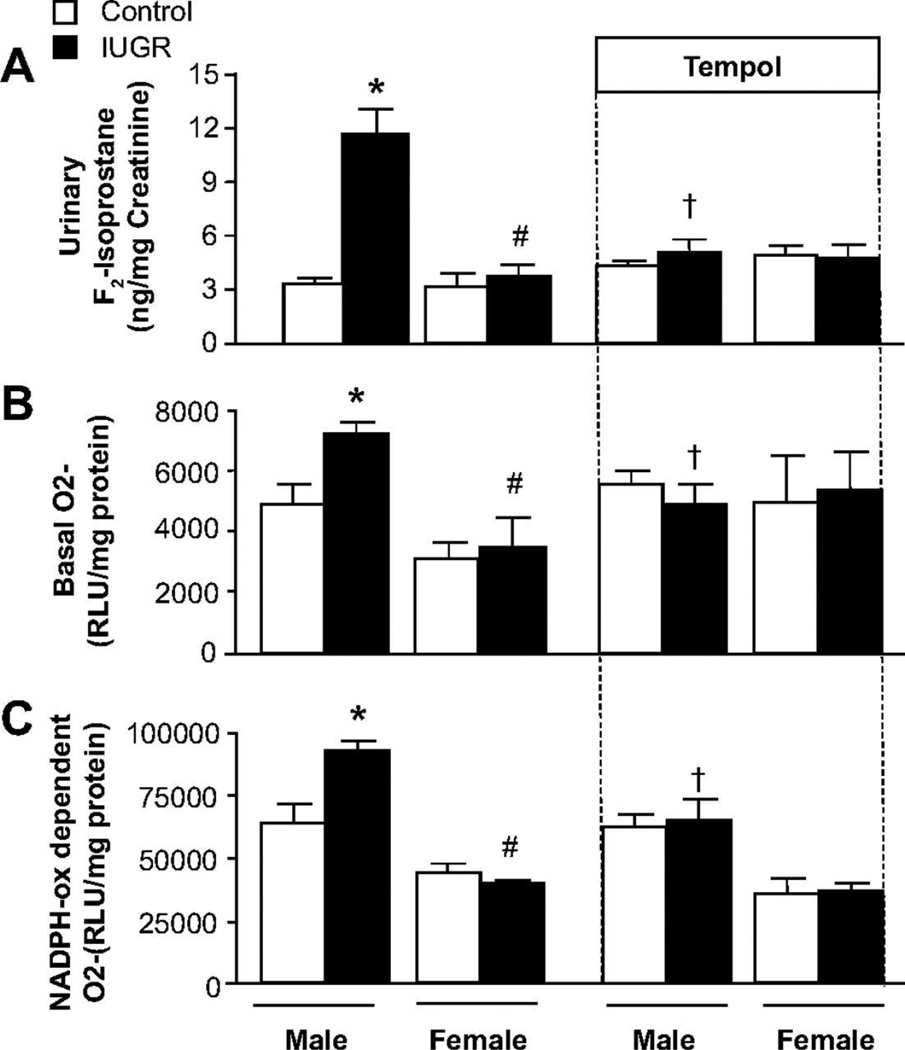 Figure 20