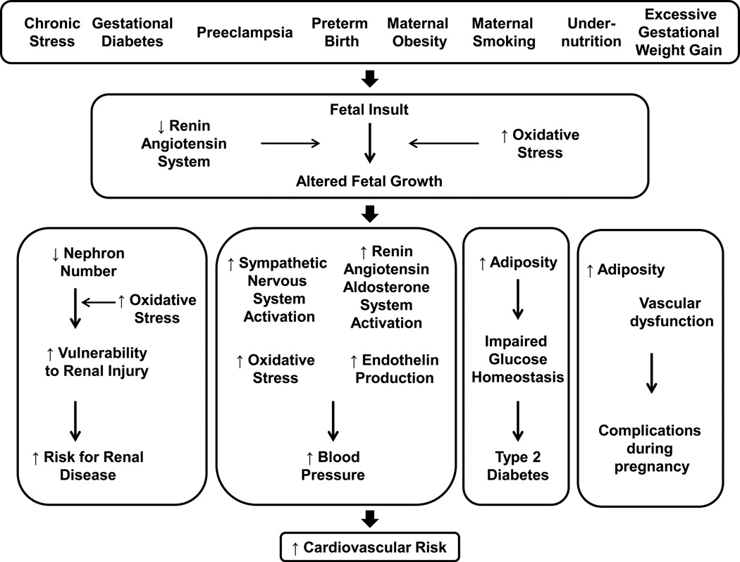 Figure 23