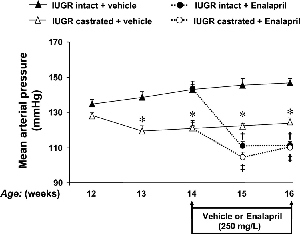 Figure 16