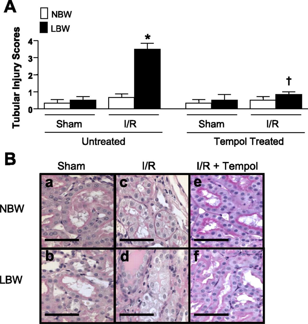 Figure 22