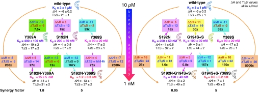 Fig. 3.