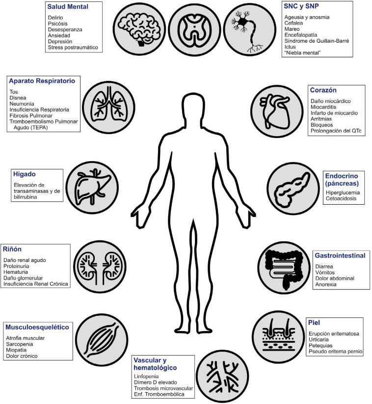 Figura 1