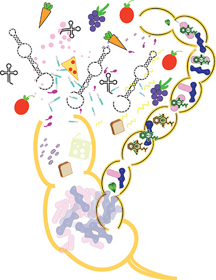 graphic file with name jp4c00267_0005.jpg