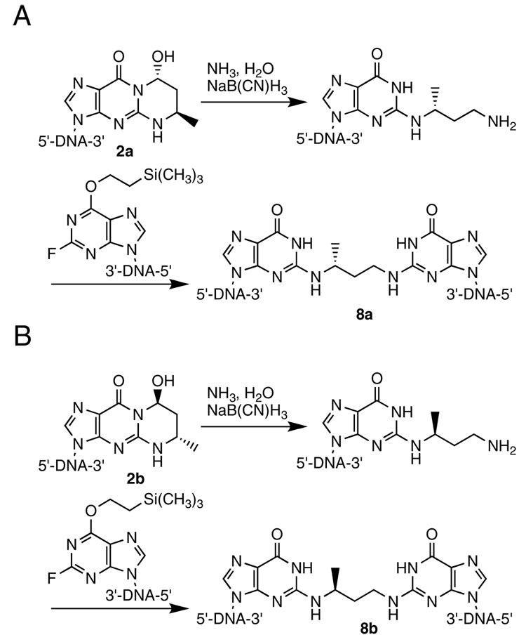 Scheme 2