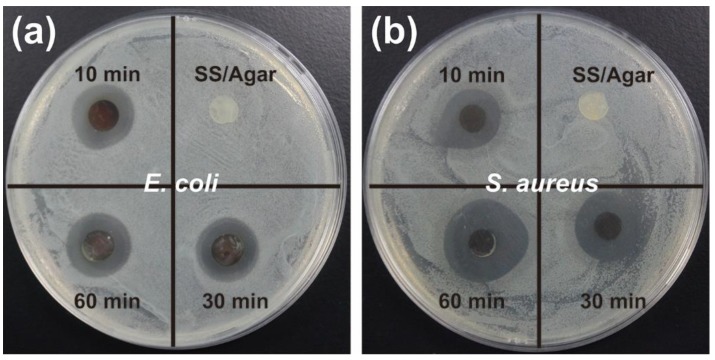 Figure 9