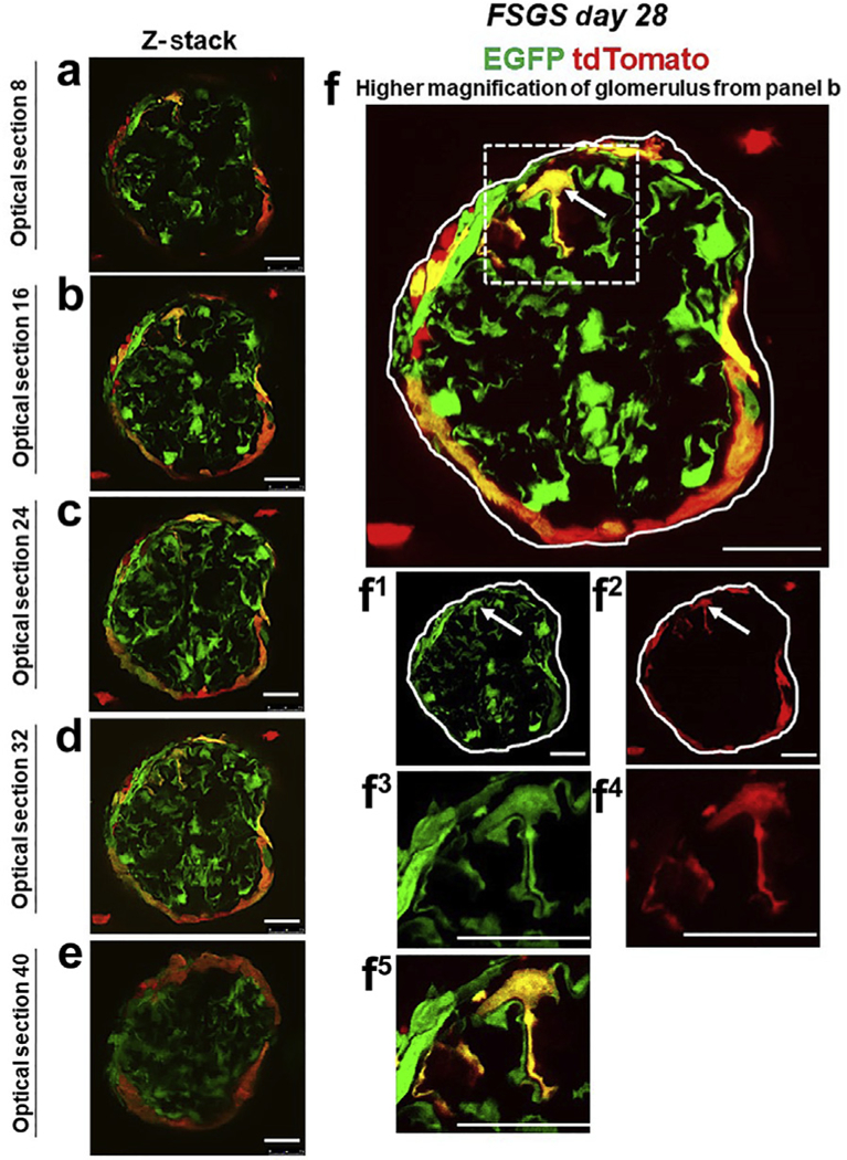 Figure 3|