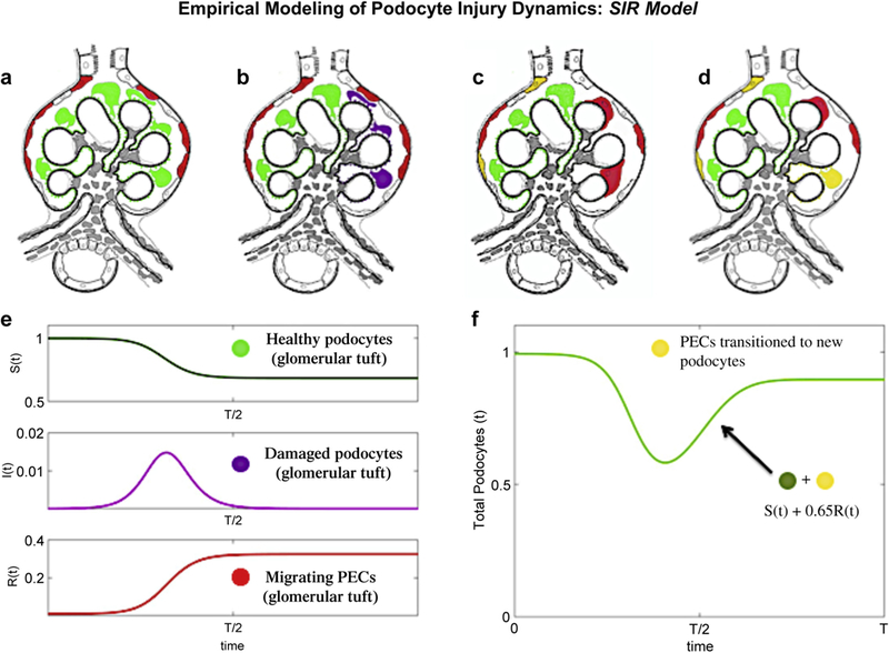 Figure 10|