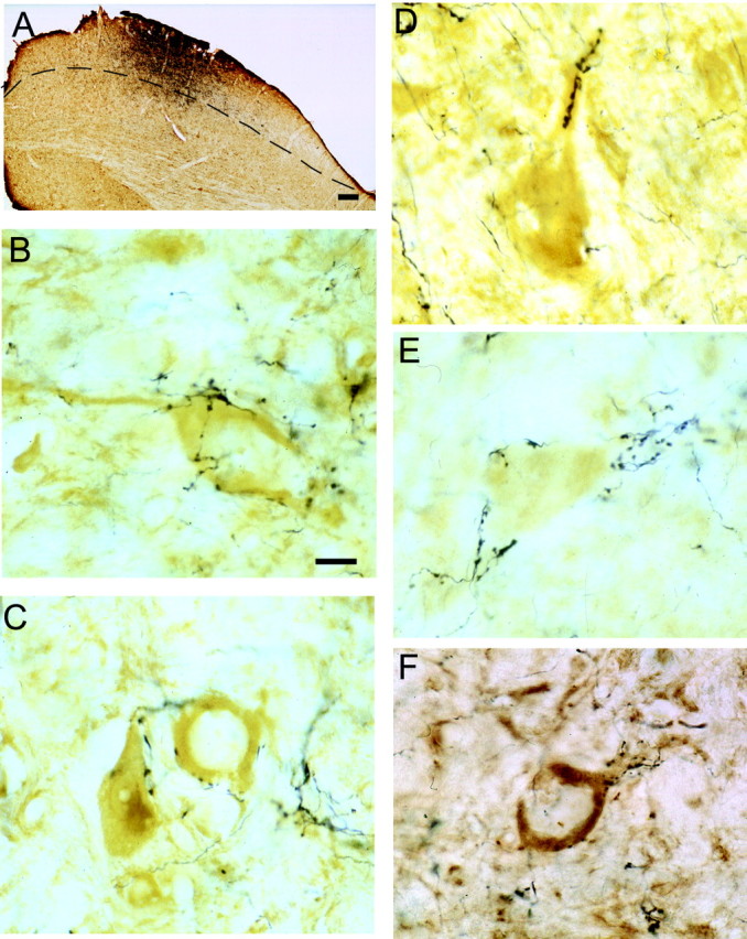 Figure 10.