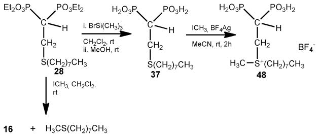 Scheme 3