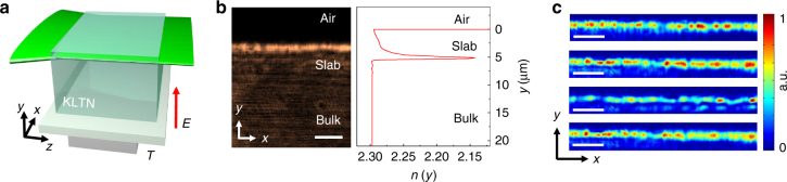 Fig. 1