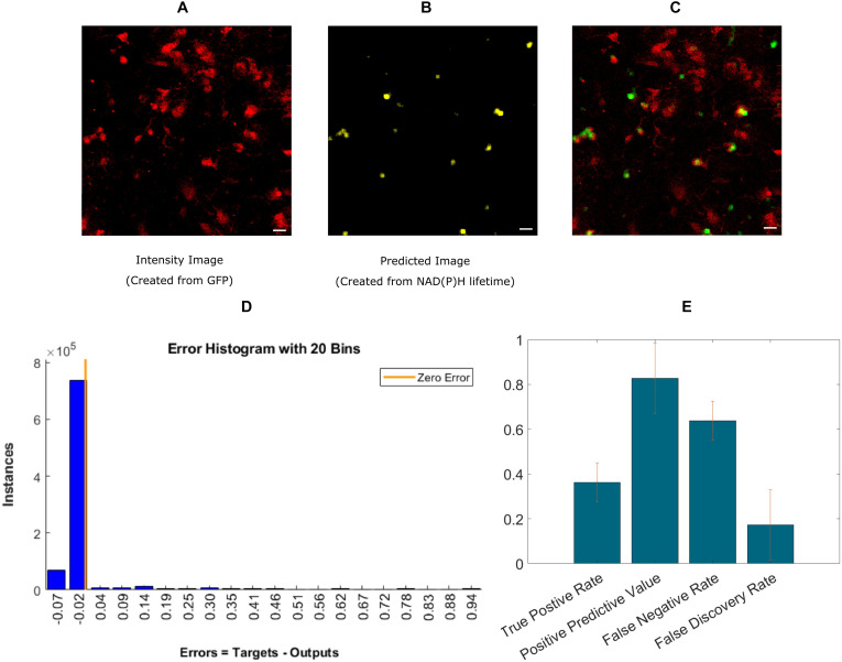 FIGURE 4