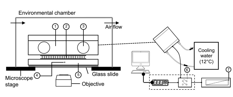 FIG. 2.