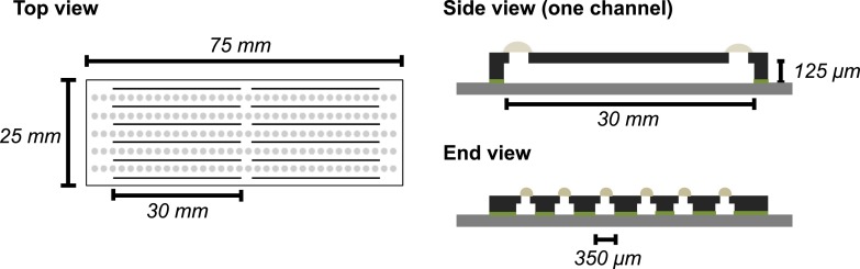 FIG. 1.