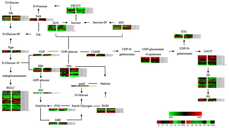 Figure 6