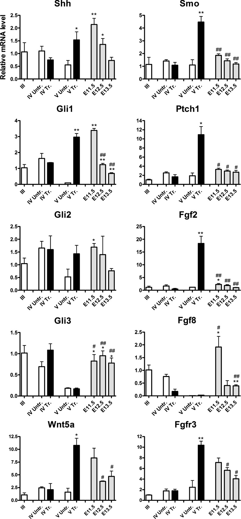 FIG. 5.