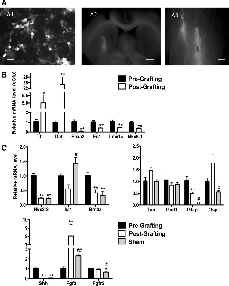 FIG. 7.