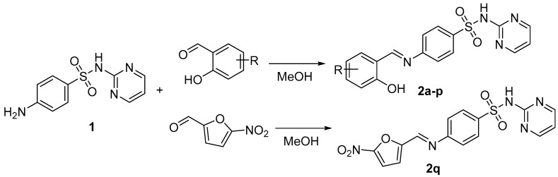 Scheme 1